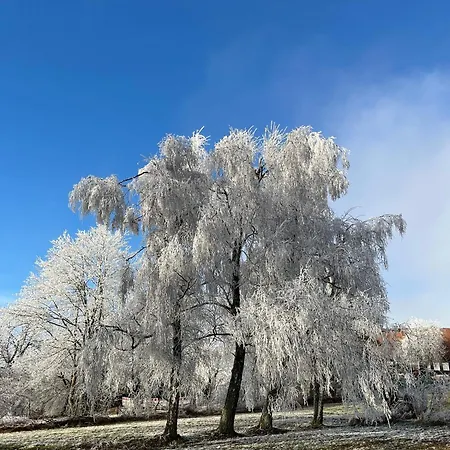펜션 Knusperhaeusschen, Im Harz Mit Eigener Sauna 브라운라제