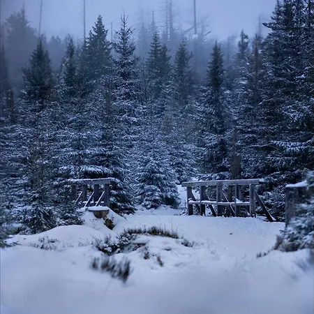 Knusperhaeusschen, Im Harz Mit Eigener Sauna Дом отдыха *