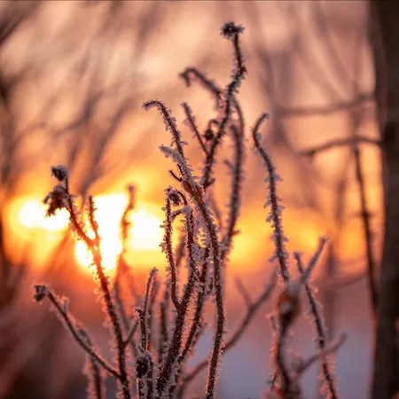 Knusperhaeusschen, Im Harz Mit Eigener Sauna Дом отдыха *