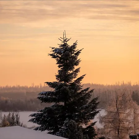 Knusperhaeusschen, Im Harz Mit Eigener Sauna 브라운라제