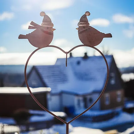 Knusperhaeusschen, Im Harz Mit Eigener Sauna
