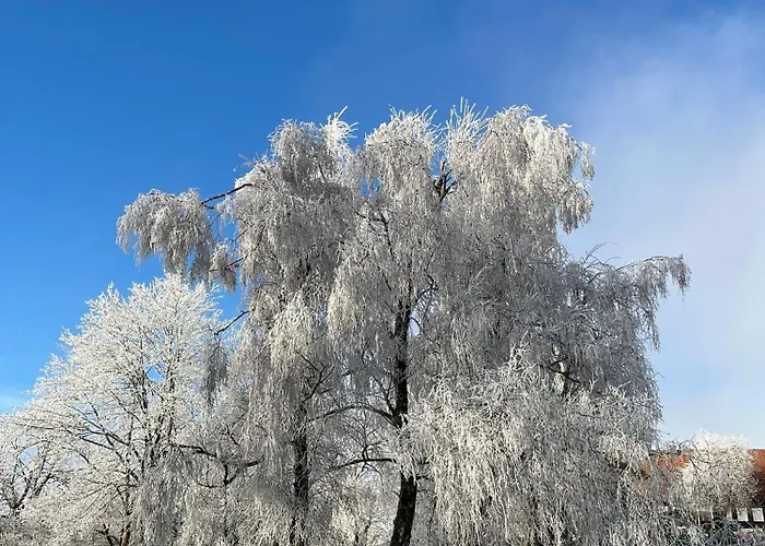 Nyaraló Knusperhaeusschen, Im Harz Mit Eigener Sauna Braunlage