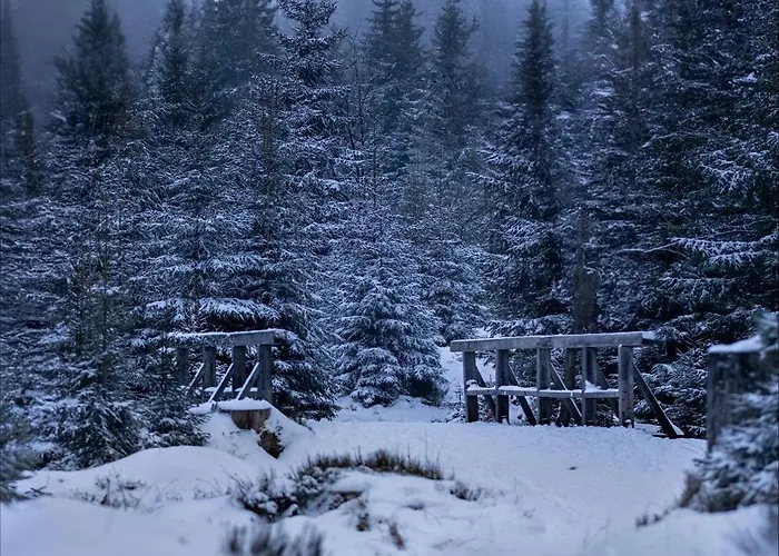 Knusperhaeusschen, Im Harz Mit Eigener Sauna Nyaraló *