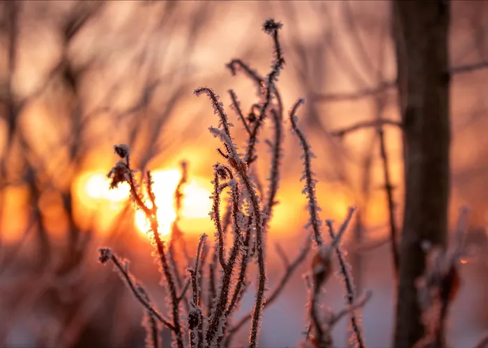 Knusperhaeusschen, Im Harz Mit Eigener Sauna Nyaraló *